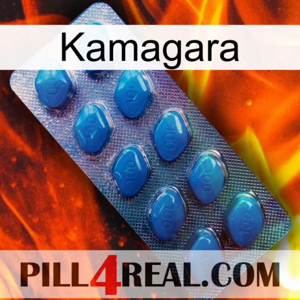 Kamagara viagra1.jpg